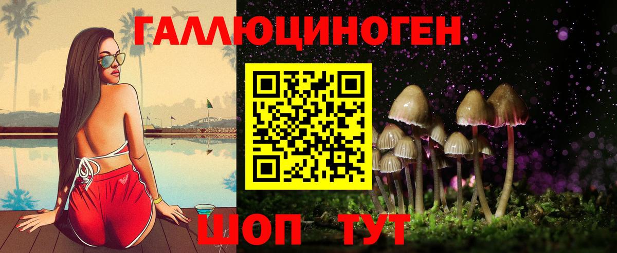 Псилоцибиновые грибы Psilocybe  Вход с VPN  Кисловодск 