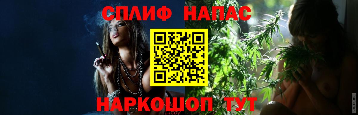 Конопля план Кисловодск